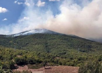 Dersim’de örtü yangını; havadan müdahale ediliyor