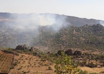 Dicle’de operasyon sırasında gözaltılar