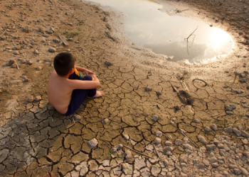 Ekolojik devrimden başka çare yok!