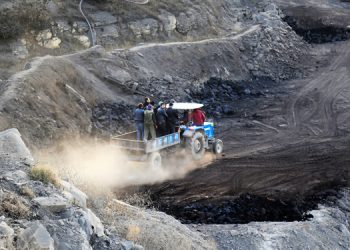 Ekolojist Işıklı: Doğa talanı ÇED’siz hızlandırılıyor