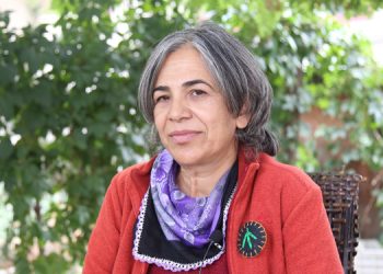 Ekolojistler: Yangınlarda amaç insansızlaştırma ve rant