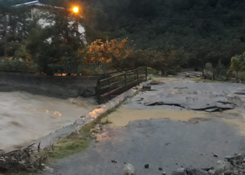 Giresun’da sağanak yağış: Fındıklar sele kapıldı