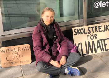 Greta’dan hafta sonu sandığa gidecek olan Almanya halkına çağrı