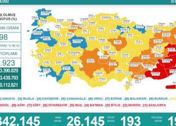 Koronadan 193 kişi daha hayatını kaybetti