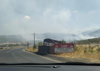 Üs bölgesindeki ormanlar ateşe verildi