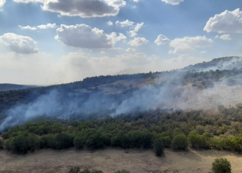Lice’de başlayan yangın yayılıyor