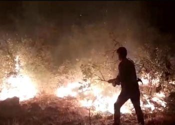 Lice’de yangın yurttaşların çabasıyla söndürüldü