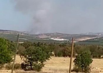 Lice’deki orman yangını söndürüldü