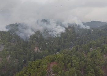 Manavgat’ta orman yangını