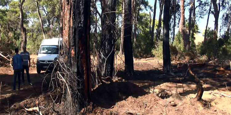 Manavgat’ta ormanı yakmaya çalışırken suçüstü yakalandı: ‘Kendimi öldürmek için yaptım’ Manavgat’ta ormanı yakmaya çalışırken suçüstü yakalandı: ‘Kendimi öldürmek için yaptım’