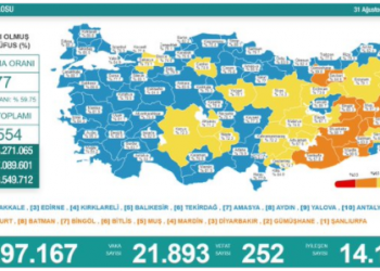 Koronadan 21 bin 893 vaka tespit edildi