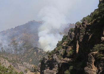 Roj Deresi’ndeki yangın kontrol altına alındı