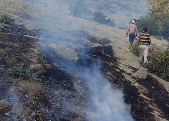 Solhan’daki yangın söndürüldü