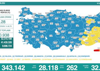 Son 24 saatte koronadan 262 kişi daha hayatını kaybetti