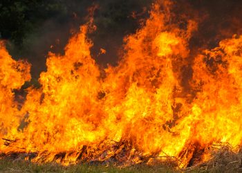 Antalya’nın Kaş ilçesinde orman yangını