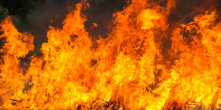 Antalya’nın Kaş ilçesinde orman yangını