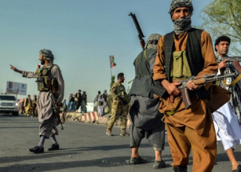 Taliban, El Kaide liderini sakladığı iddialarını yalanladı