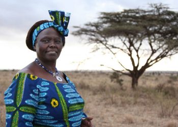Yoksulluk ve ekoloji mücadelesini bütünleştiren bir kadın: Wangari Maathai