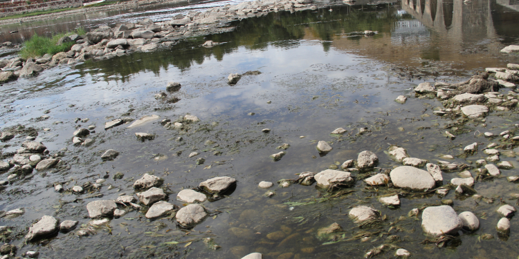 Dicle Nehri’nde balık ölümleri Dicle Nehri’nde balık ölümleri