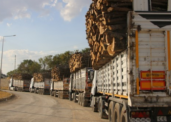 Orman Müdürlüğü’nden ağaç kıyımı savunması: Asker istedi!