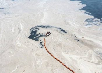 Müsilaj uyarısı: Yeni felaketler bizi bekliyor