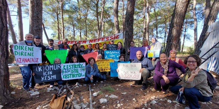 Akbelen Ormanı’nda bilirkişi keşfi yapıldı Akbelen Ormanı’nda bilirkişi keşfi yapıldı