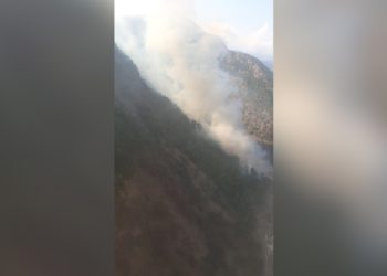 Aladağ’da orman yangını