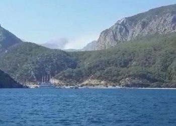 Antalya’da orman yangını