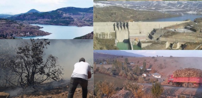 KAYY-DER: Bingöl’de ekolojik kırım yaşanıyor KAYY-DER: Bingöl’de ekolojik kırım yaşanıyor