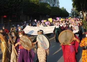 DBP Eş Genel Başkanı Aydeniz’den kadın mitinge çağrı