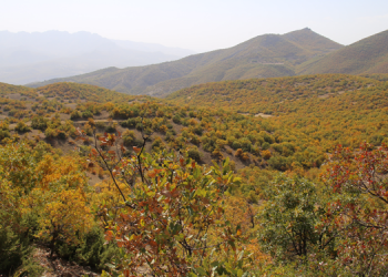 Dersim’de katı atık tesisi projesine tepki