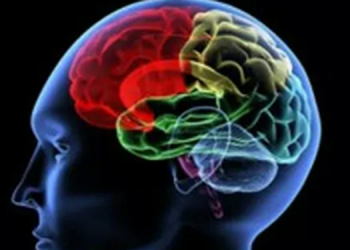 Doç. Dr. Ümit Savaşçı: Kovid-19 geçirenlerin beyninde küçülme tespit edildi