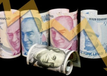 Müftüoğlu: Döviz krizi ancak siyasi kriz ortadan kalkınca çözülür