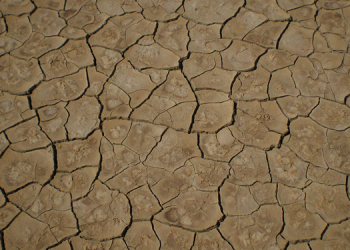 Dünya Meteoroloji Örgütü: 118 milyon kişi kuraklık, sel ve aşırı sıcaklık tehlikesiyle karşı karşıya