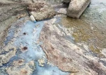 Göllerde ‘çürüme’ felaketi: Siyonobakteri istilası