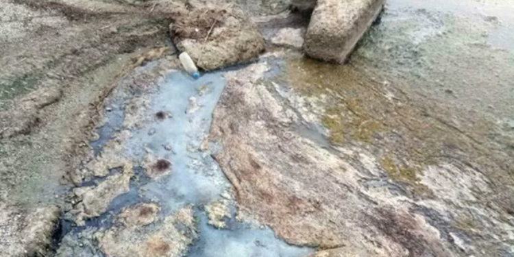 Göllerde ‘çürüme’ felaketi: Siyonobakteri istilası Göllerde ‘çürüme’ felaketi: Siyonobakteri istilası