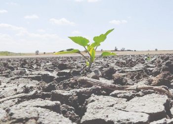 HDK: İklim krizine karşı ekoloji mücadelesini büyütelim