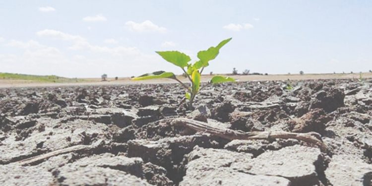 HDK: İklim krizine karşı ekoloji mücadelesini büyütelim HDK: İklim krizine karşı ekoloji mücadelesini büyütelim