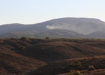 Karacehennem ormanlarında ağaç kesimi sürüyor