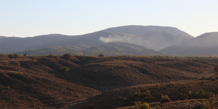 Karacehennem ormanlarında ağaç kesimi sürüyor Karacehennem ormanlarında ağaç kesimi sürüyor