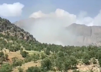 Kimyasal silah kullanımı: Türkiye BM’ye şikayet edilmeli, yargılanmalı