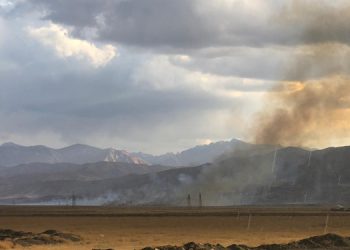Kuş Cenneti’nde yangın