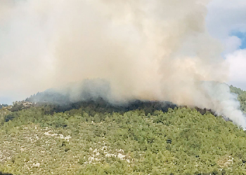 Manavgat’ta orman yangını