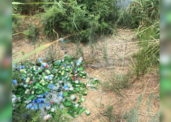 Milleyha Kuş Cenneti’nin yok edilmesine tepki