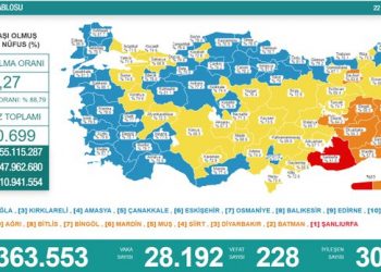 Koronadan 228 kişi daha hayatını kaybetti