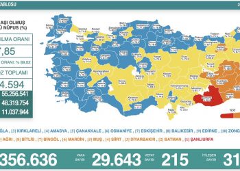 Kovid-19’dan 215 yeni vefat