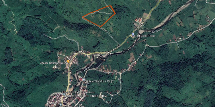 ORÇEV: Doğal yaşam ihale tehidi altında ORÇEV: Doğal yaşam ihale tehidi altında