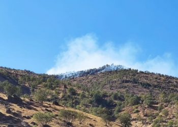 Balıkesir’de orman yangını
