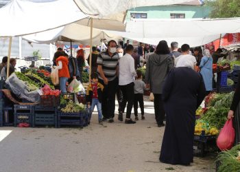 Amasya’da dalında 1.5 TL olan elma manavda 6 TL