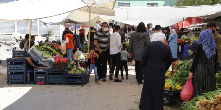 Amasya’da dalında 1.5 TL olan elma manavda 6 TL
